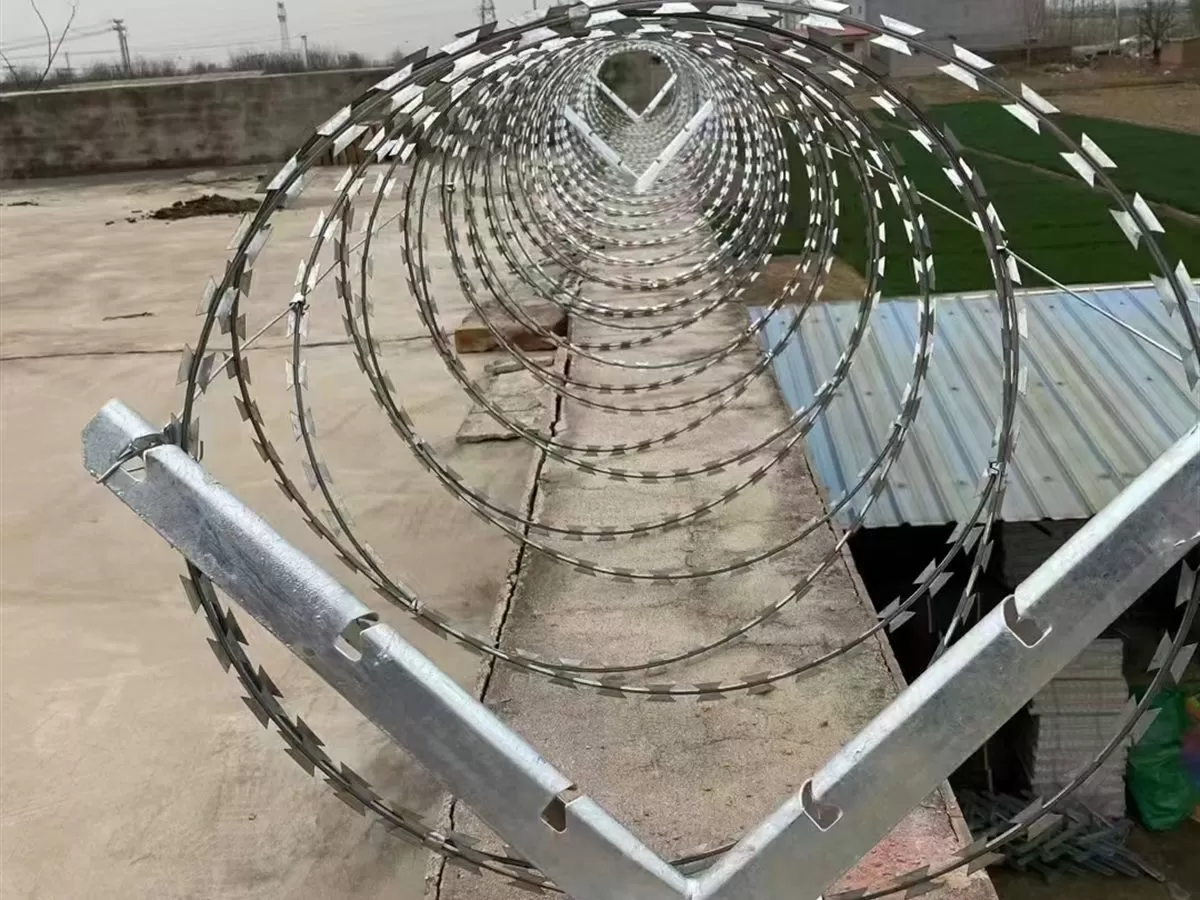 安装在安防护栏网顶部的刀片刺绳圈