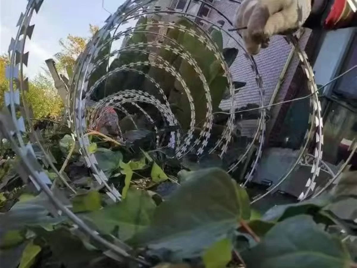 沿围栏线在网片上方拉开的平板式刀片刺绳